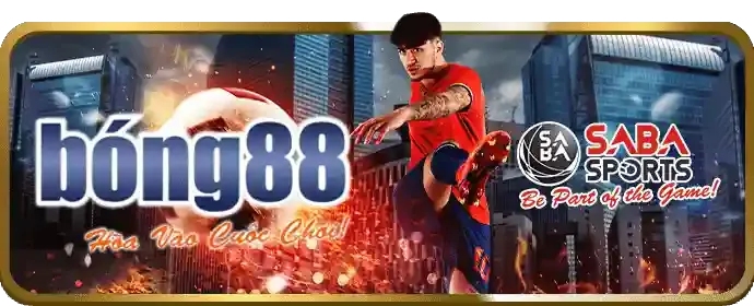 Thực hành phiên bản demo